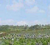赤峰地区红山文化玉器的出土状况