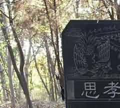 农村殡葬改革困境及现状