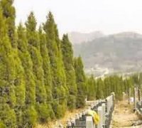 释家异域志之奇闻异物